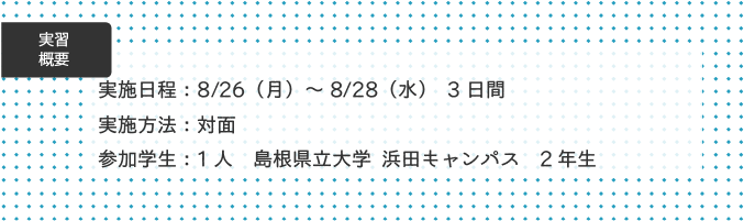 ④実習概要.png