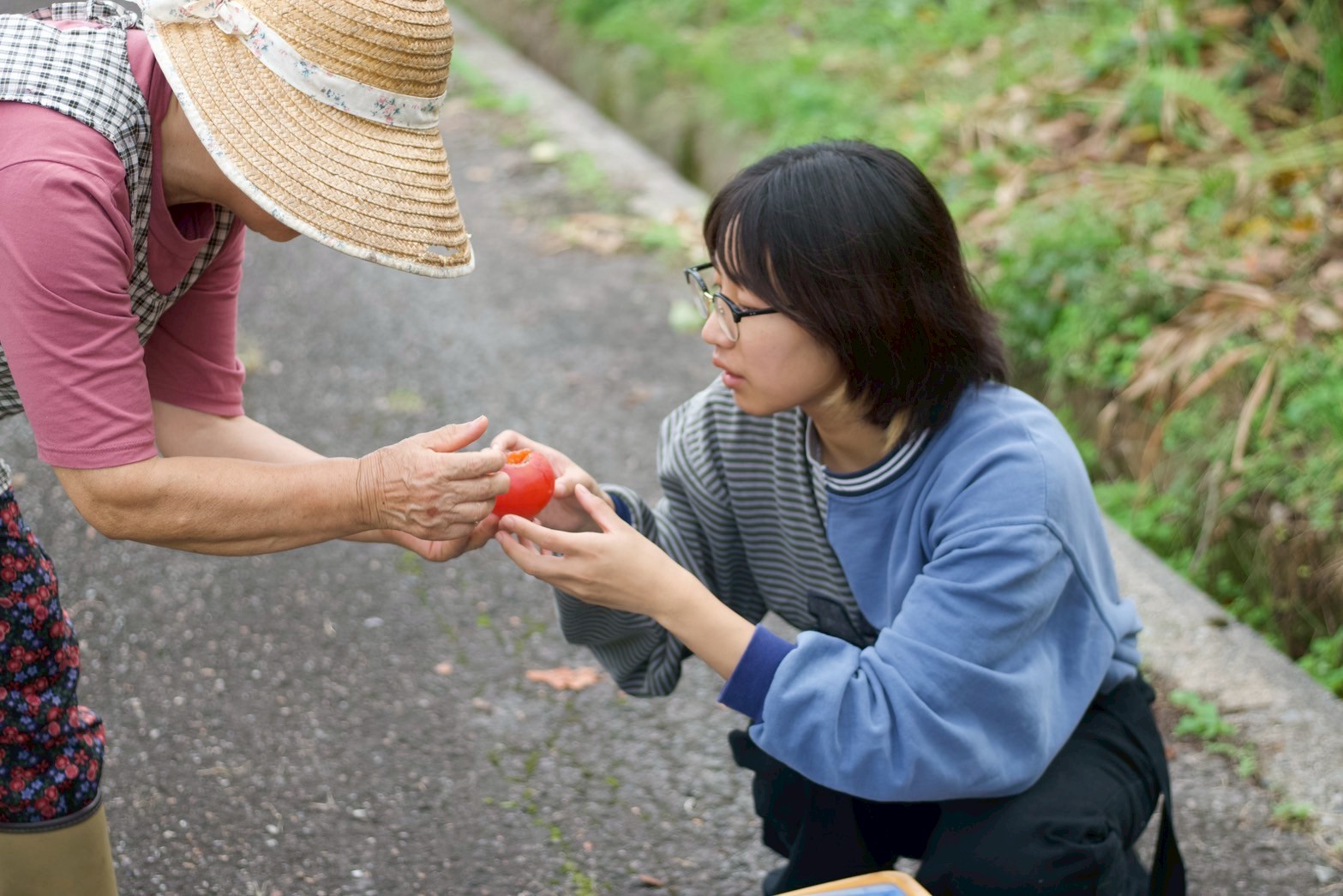 先輩社員の声①