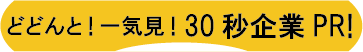 30秒帯.png