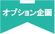 オプション.png