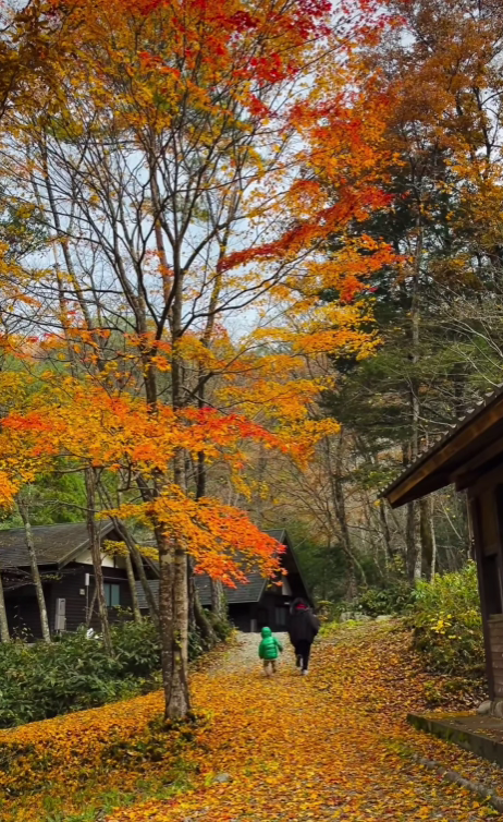 スクリーンショット 2026-01-05 111936.png