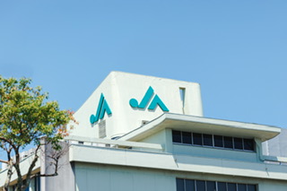 事務所から見える宍道湖、きれいですよ。