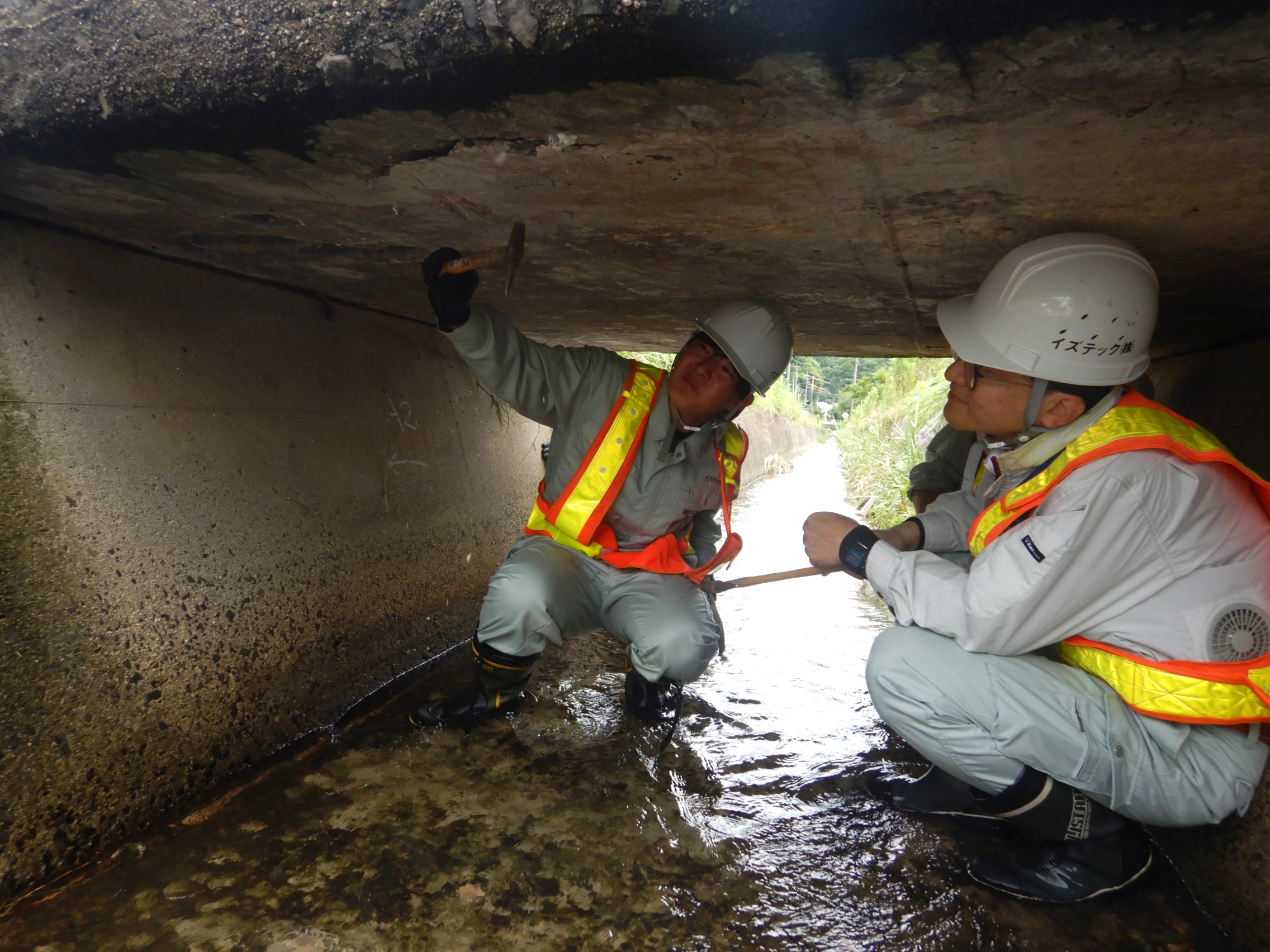 現場での点検作業の様子