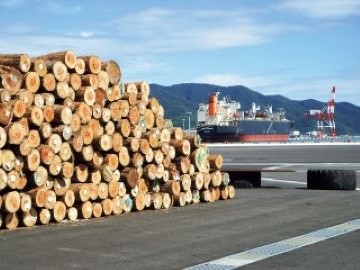 国内シェア30％全国規模のスケール感ある会社です。