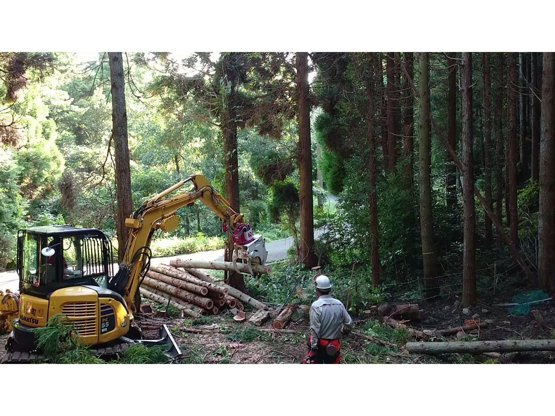 間伐材搬出作業の様子