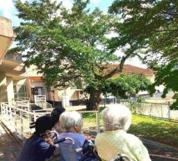 晴れた日の屋外で