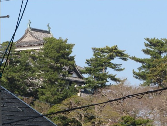 窓から松江城を望む