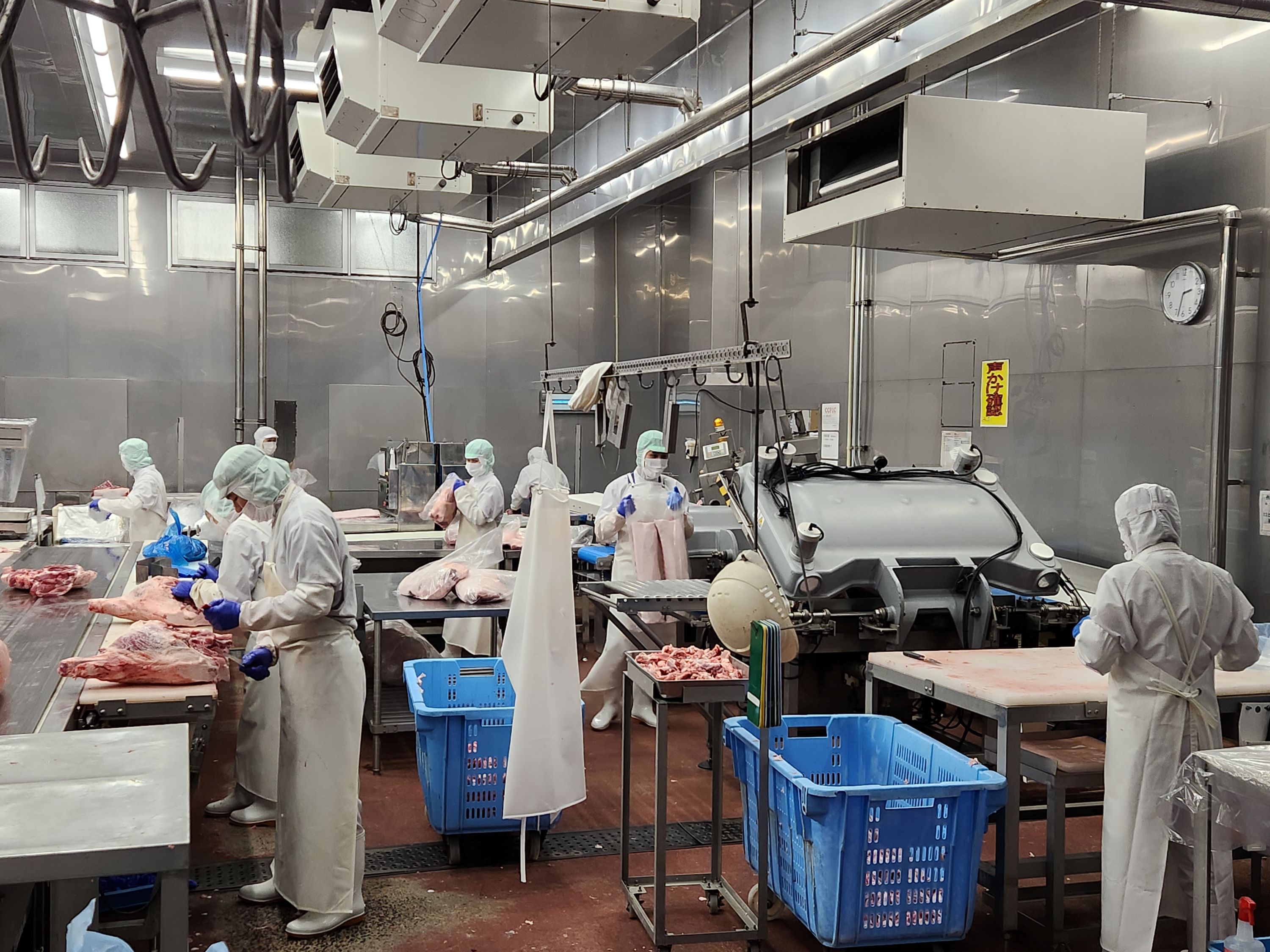 業務二課 豚カット作業