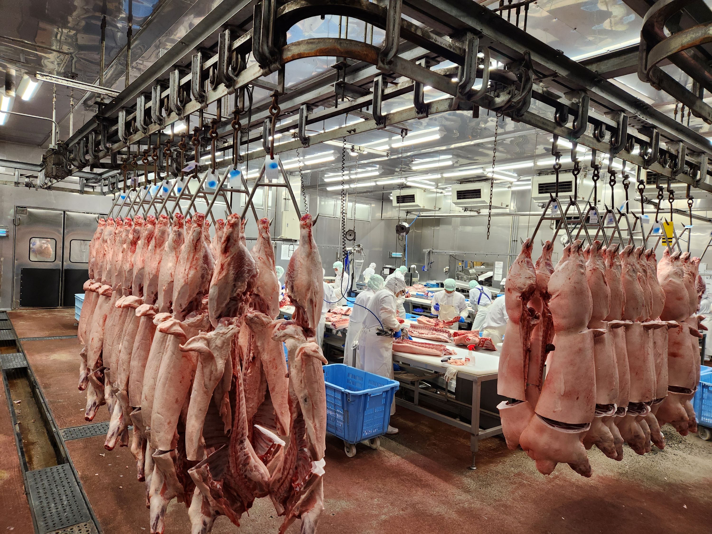 業務二課 豚カット加工室