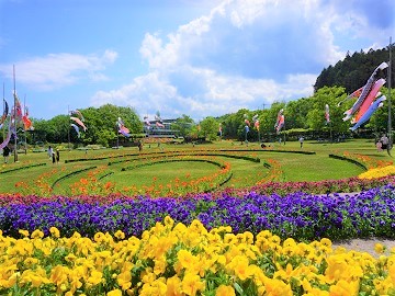 年間で最も花が盛り上がるGW頃の写真です。