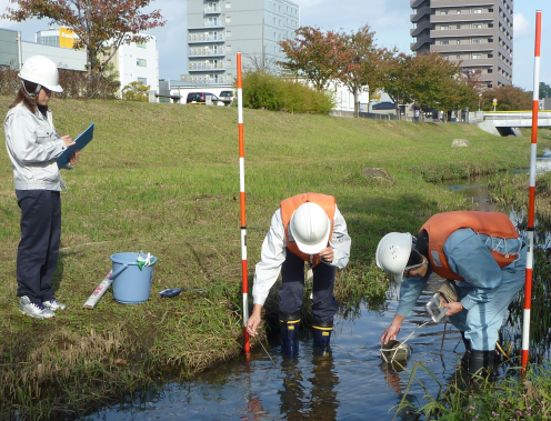 サンプリング調査（河川水の採水）