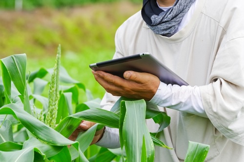 スマート農業はこれからのトレンドとなります。