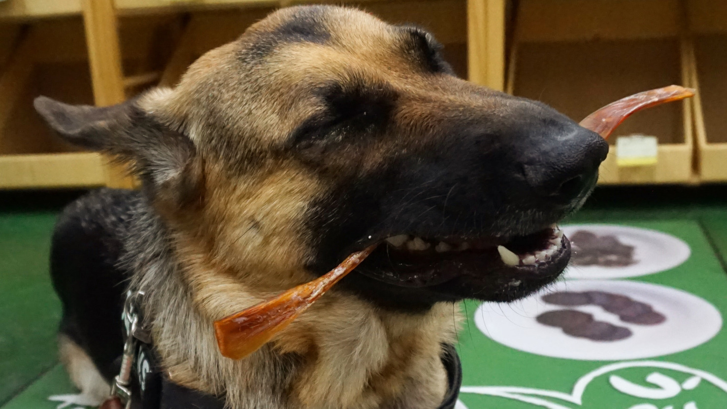 「美味しい！」は「ヘルシー」あっての幸せ