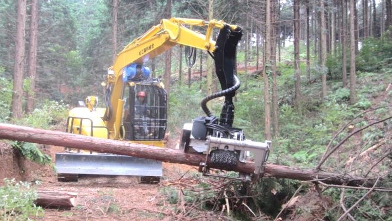 機械による枝払い、玉切り