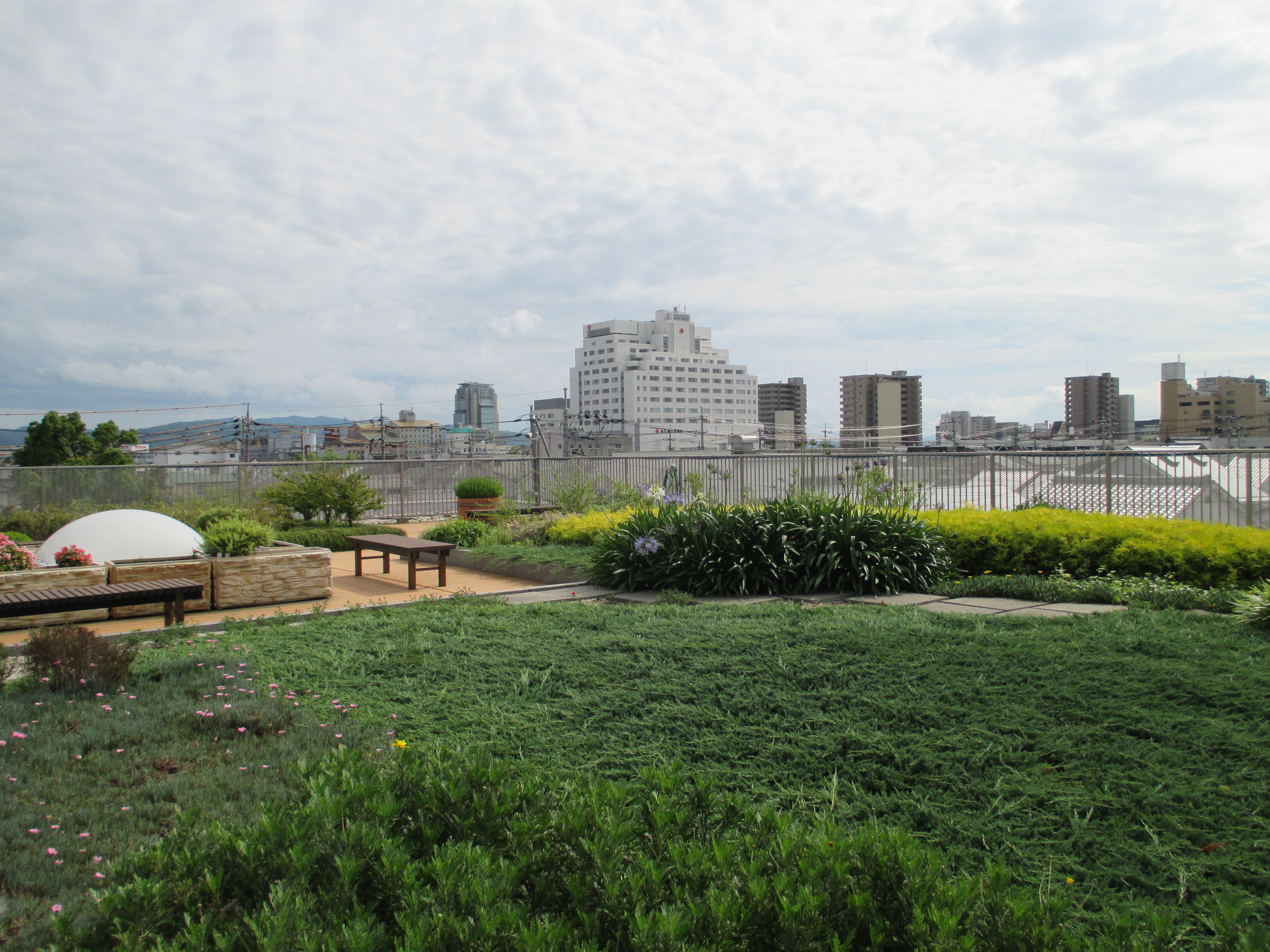 屋上庭園