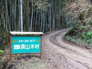 出雲市内の社有林入り口